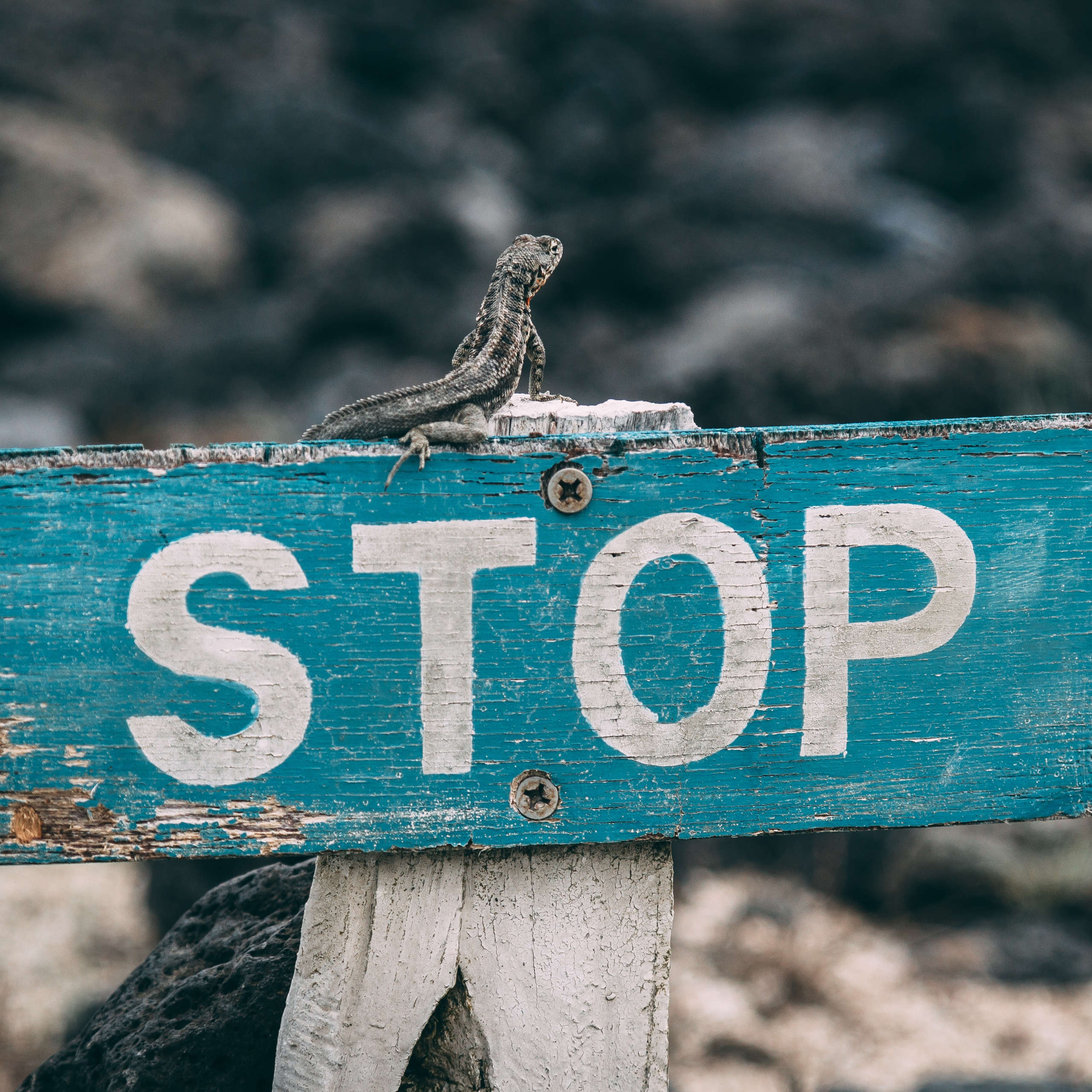 DLegal Law Office - Stop