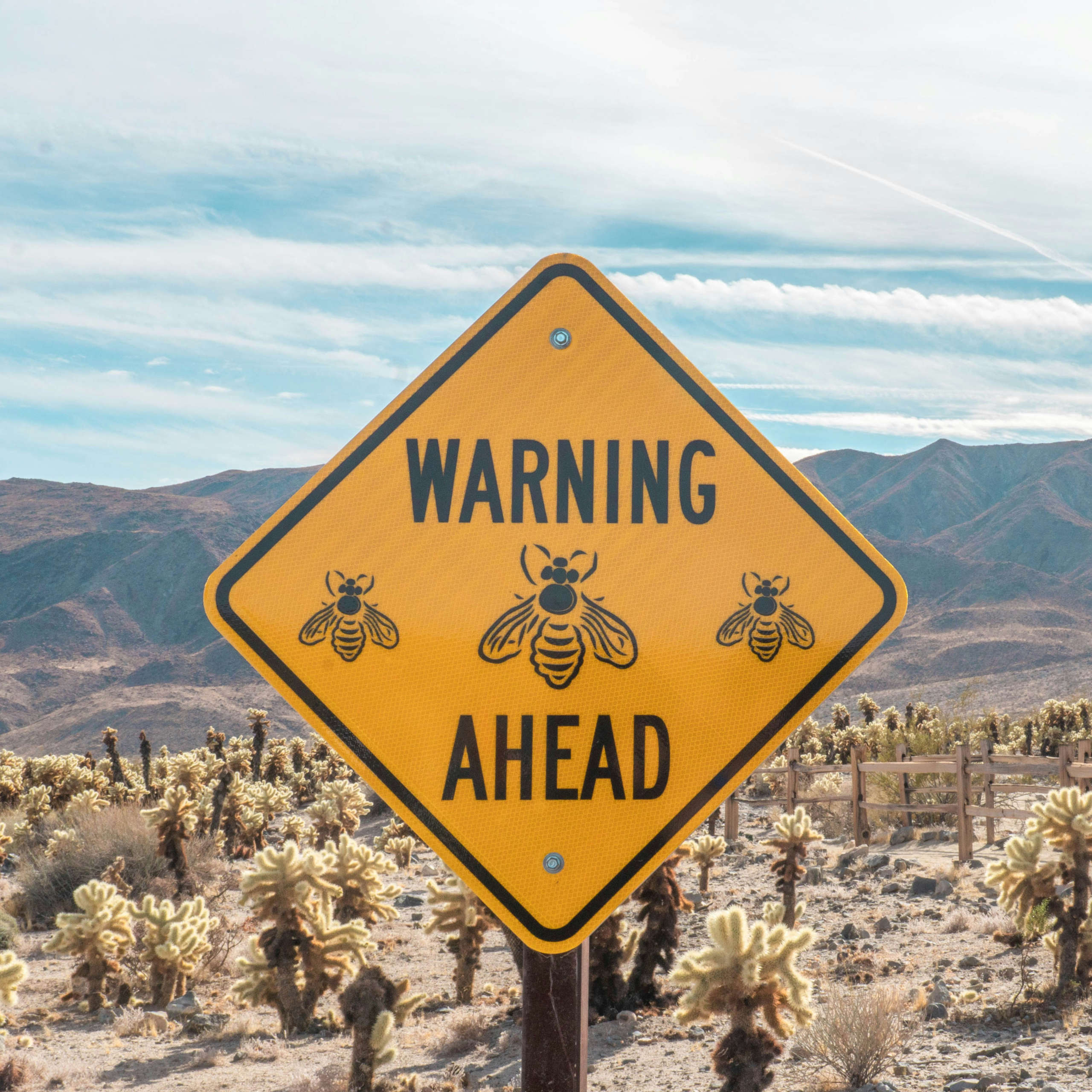 DLegal Law Office - warning