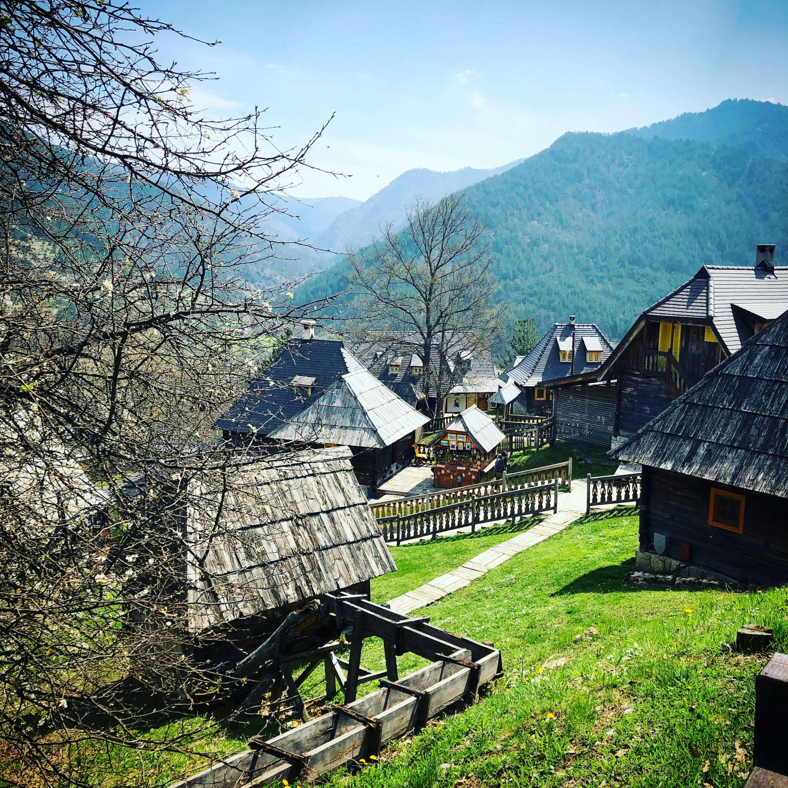 DLegal Law Office - village