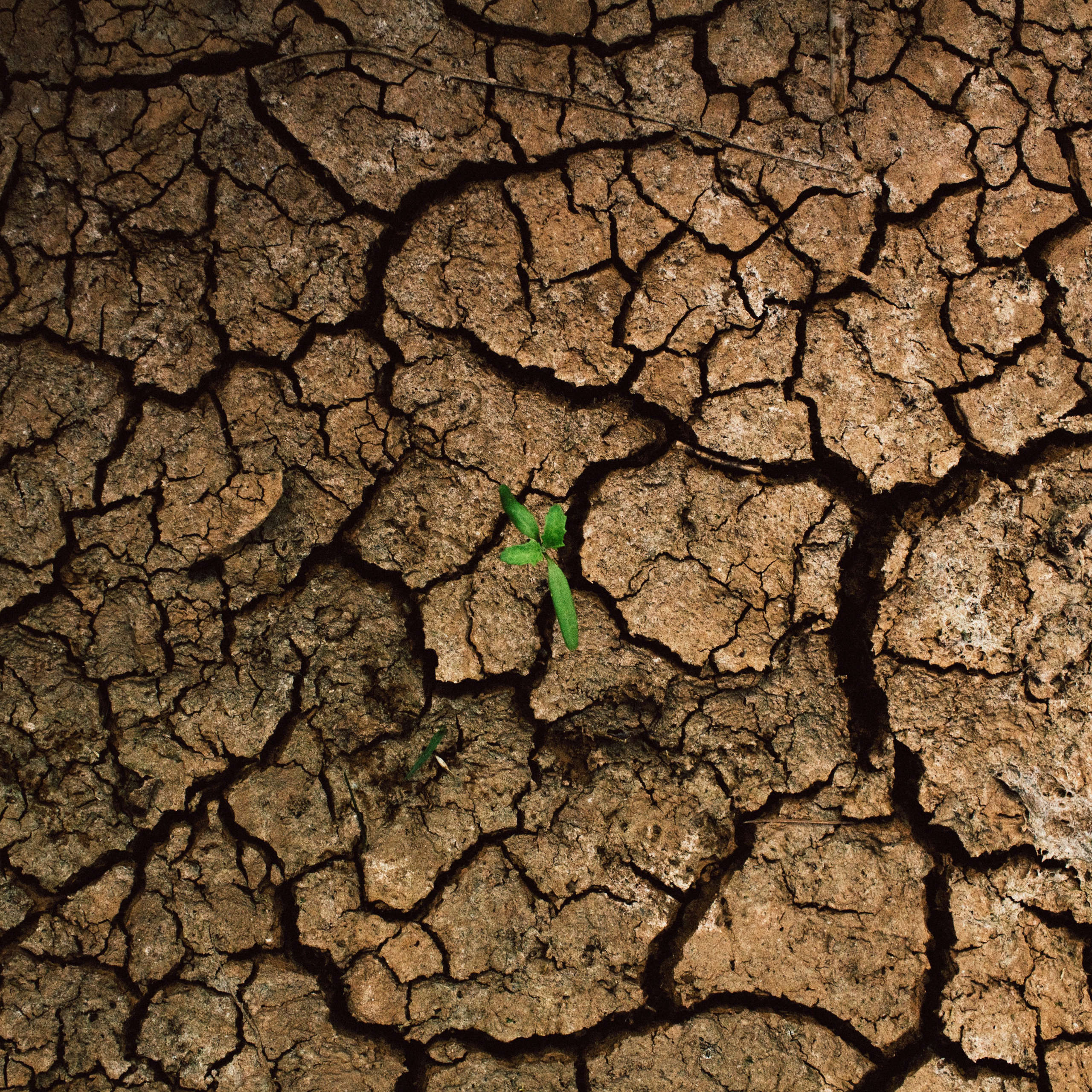 DLegal Law Office - crop