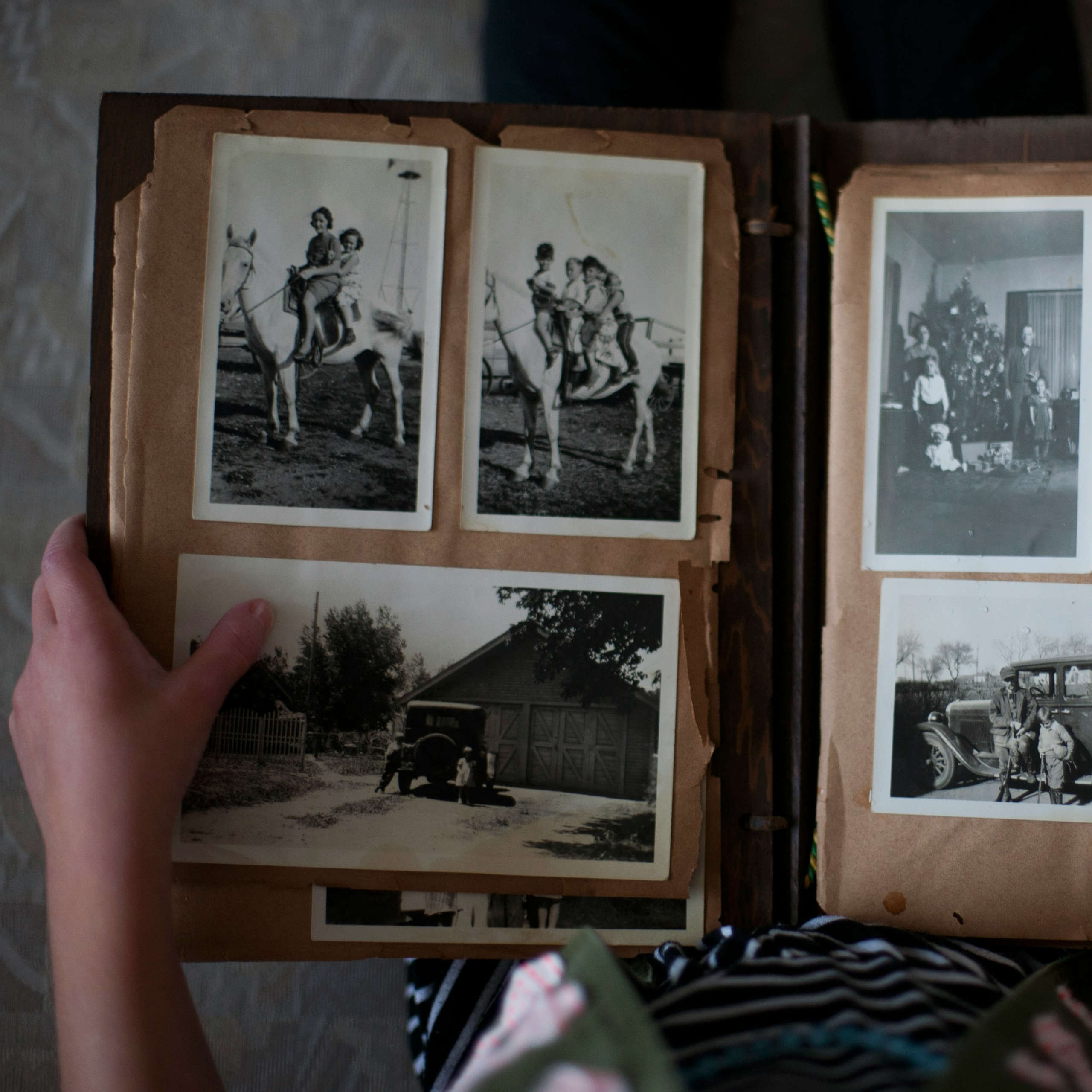 DLegal Law Office - old photo