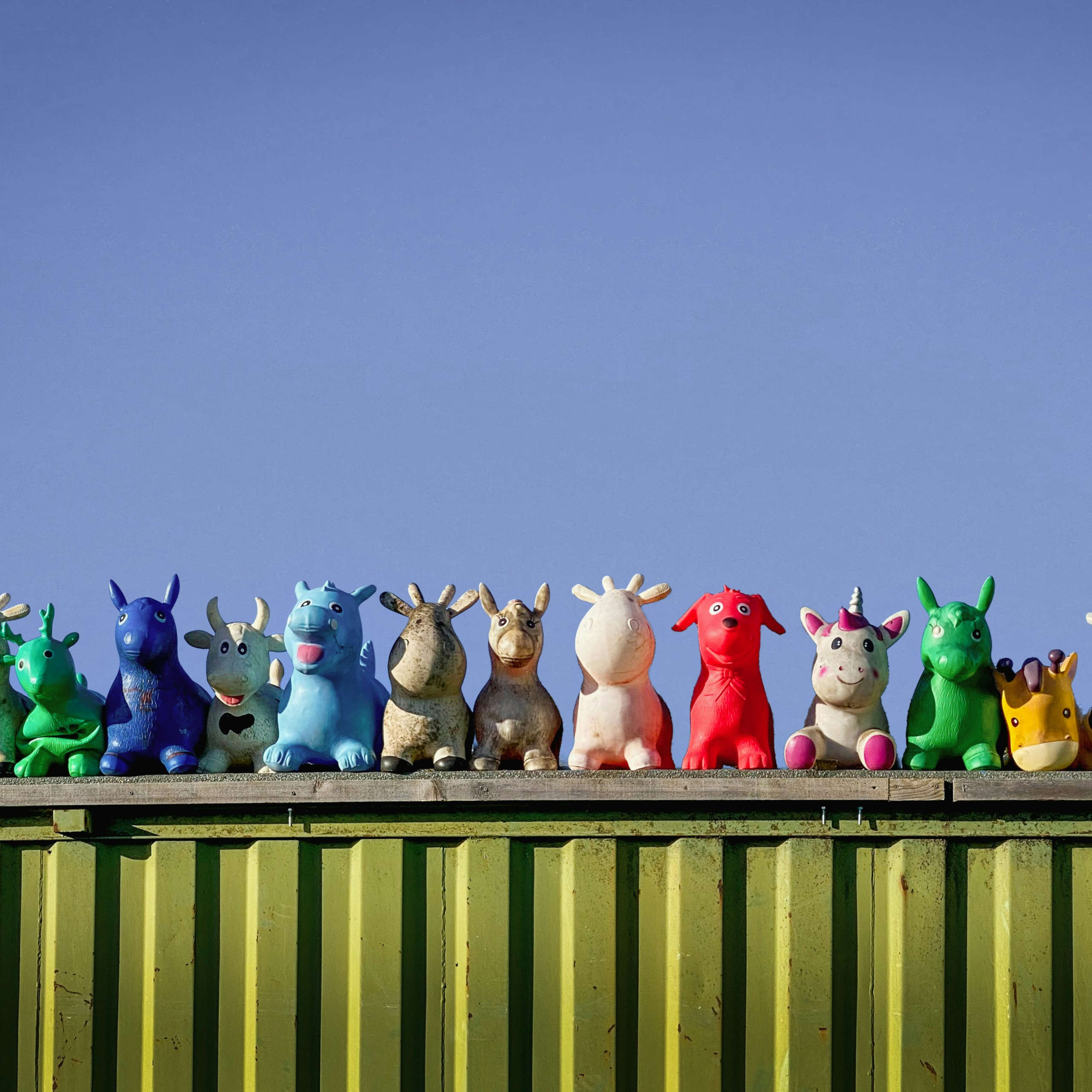 DLegal Law Office - toys