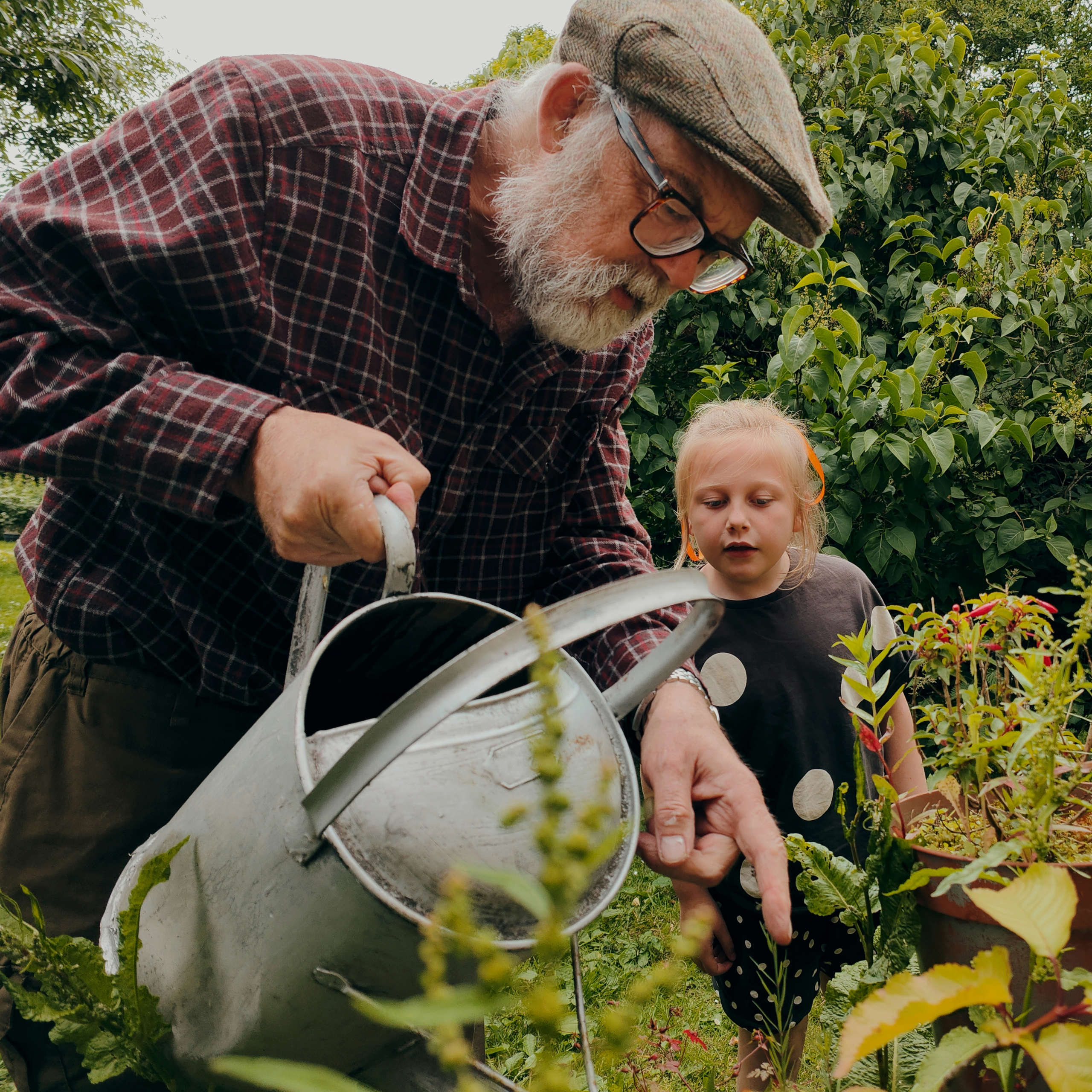 DLegal Law Office - watering