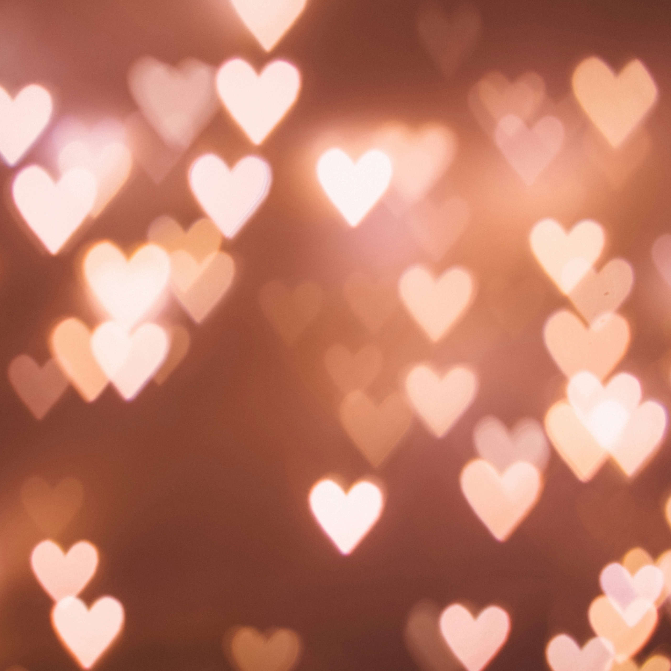 DLegal Law Office - hearts