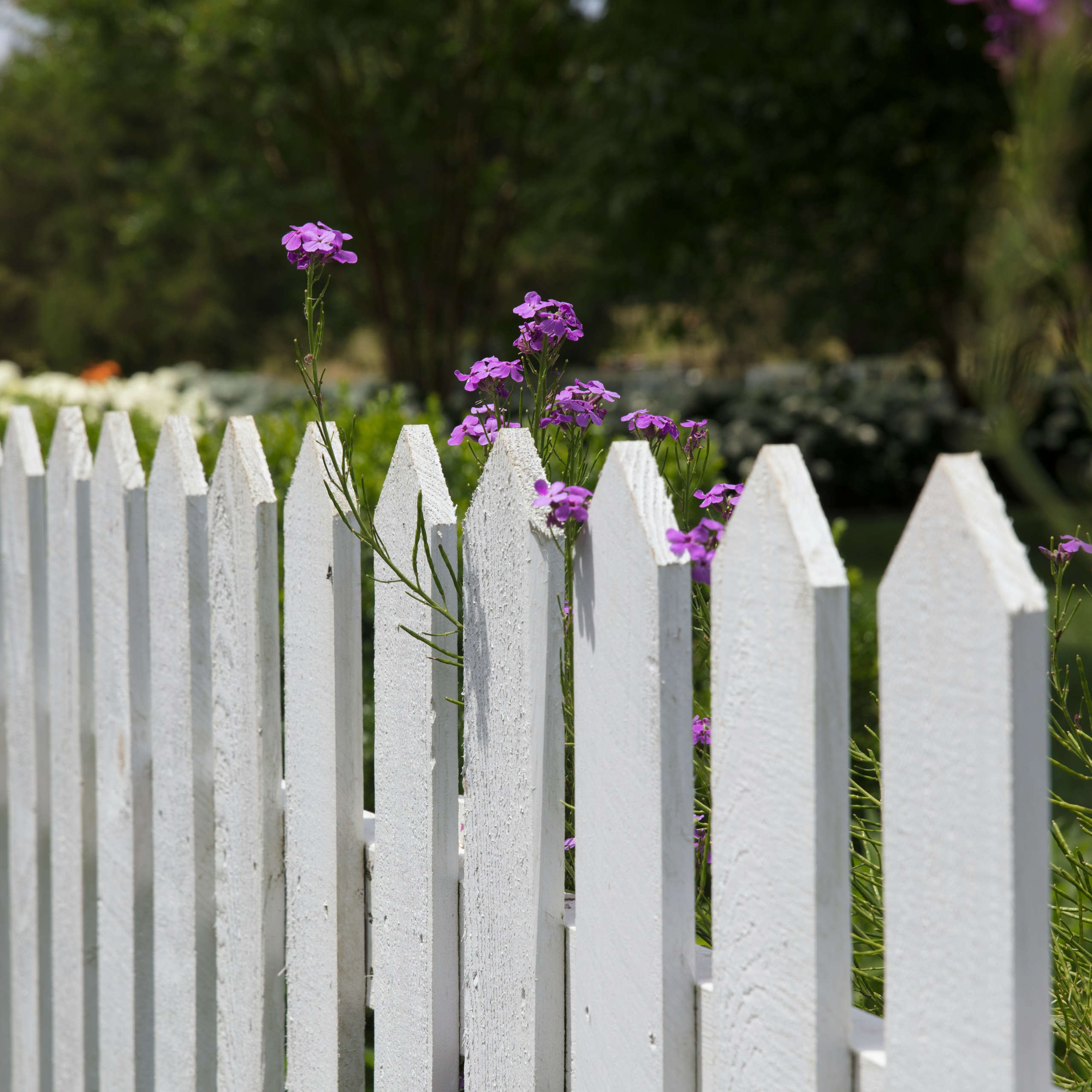 DLegal Law Office - fence