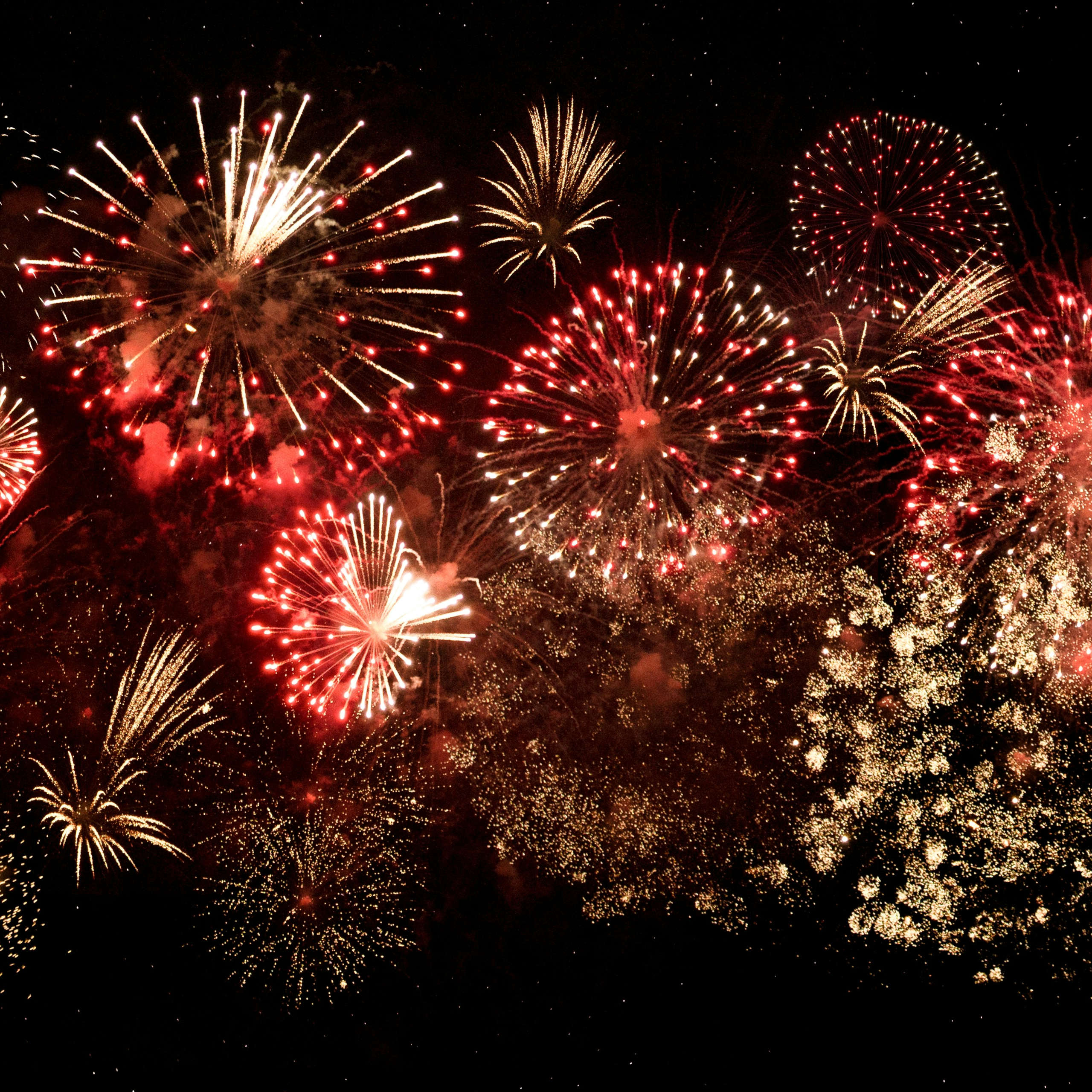 DLegal Law Office - fireworks